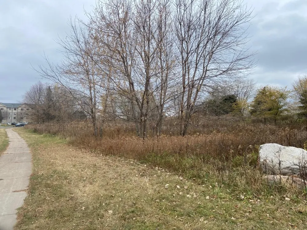TBD 65th Street E Inver Grove Heights, MN 55076
