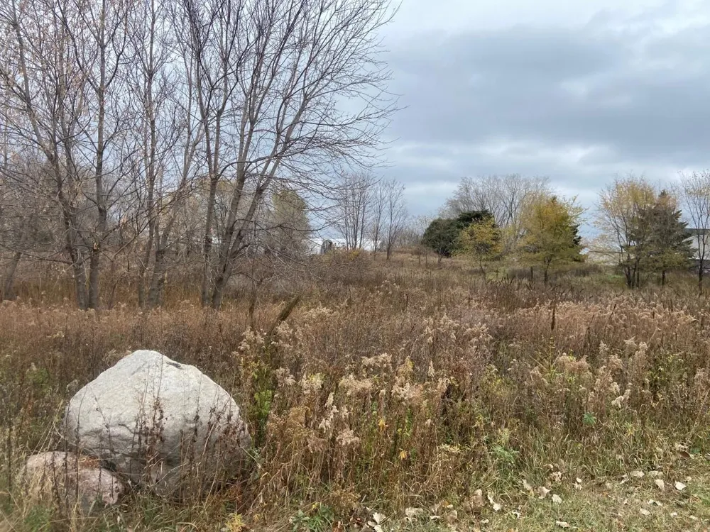 TBD 65th Street E Inver Grove Heights, MN 55076