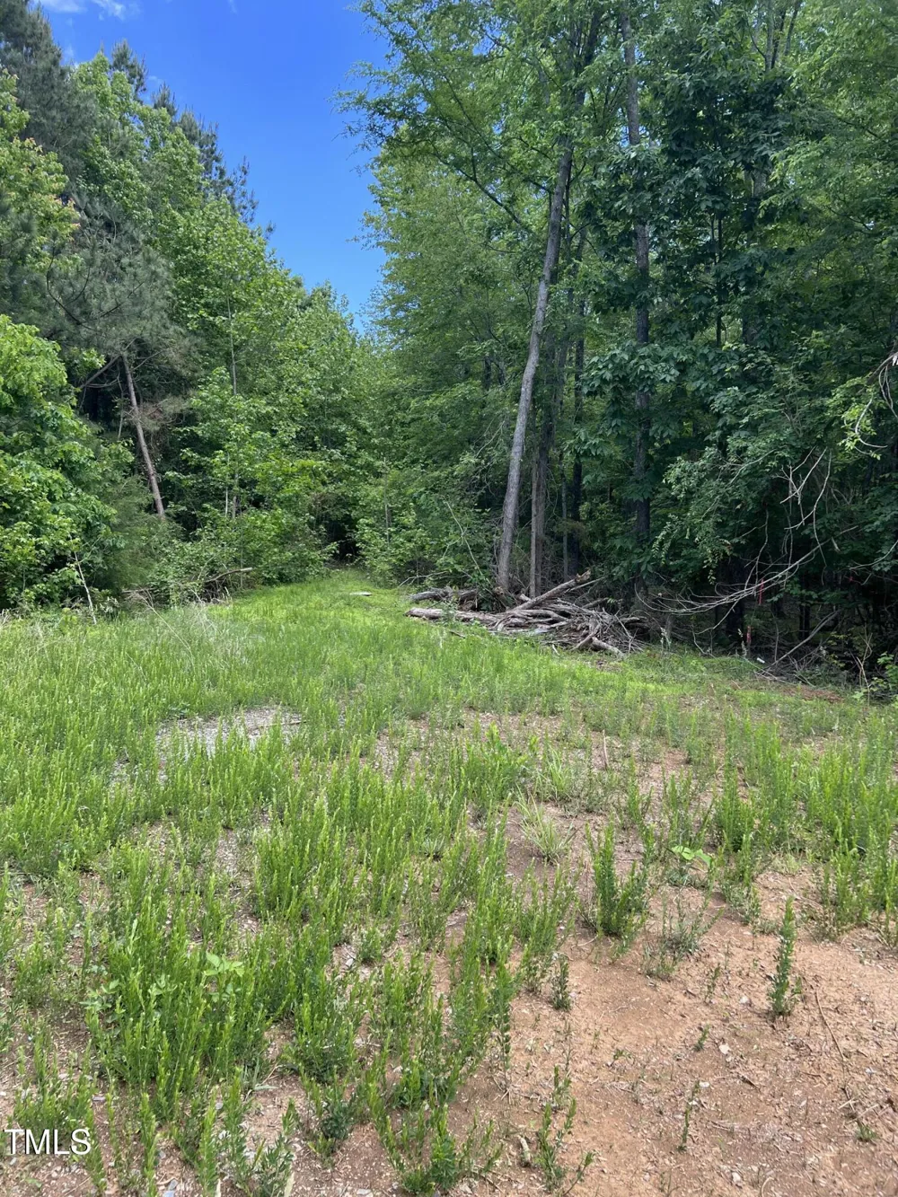 112 Scnobia Taylor Road Cedar Grove, NC 27231