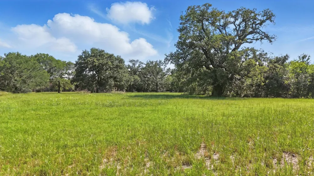126 W Shady Shores Road Shady Shores, TX 76210