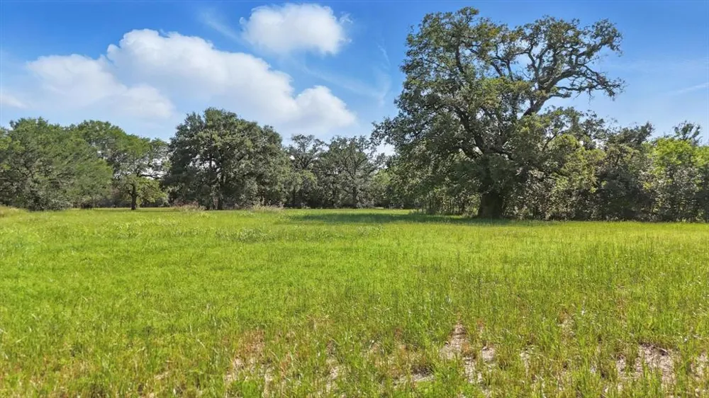 126 W Shady Shores Road Shady Shores, TX 76210