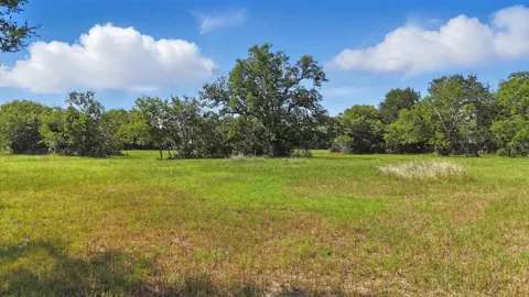 200 W Shady Shores Road
