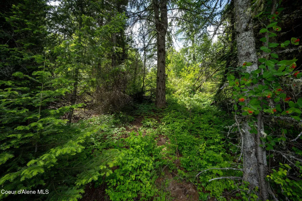 0 Vogel Road Worley, ID 83876