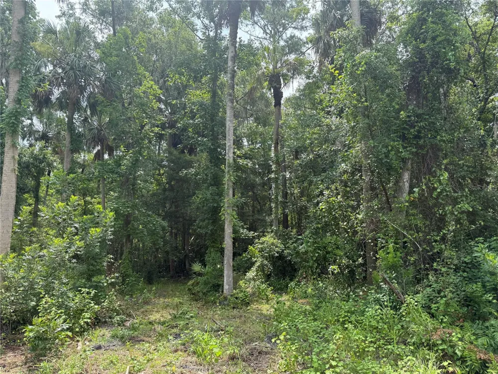 OKALOOSA TRAIL Sorrento, FL 32776