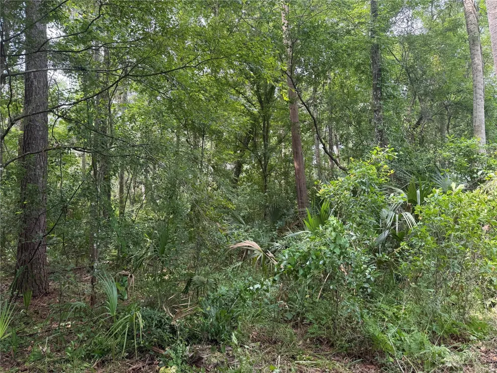 OKALOOSA TRAIL Sorrento, FL 32776