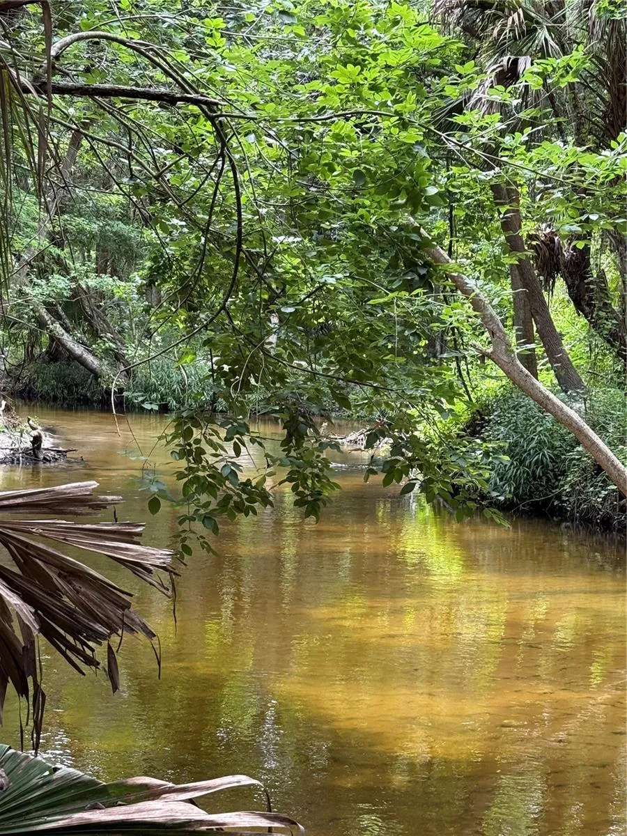 OKALOOSA TRAIL Sorrento, FL 32776