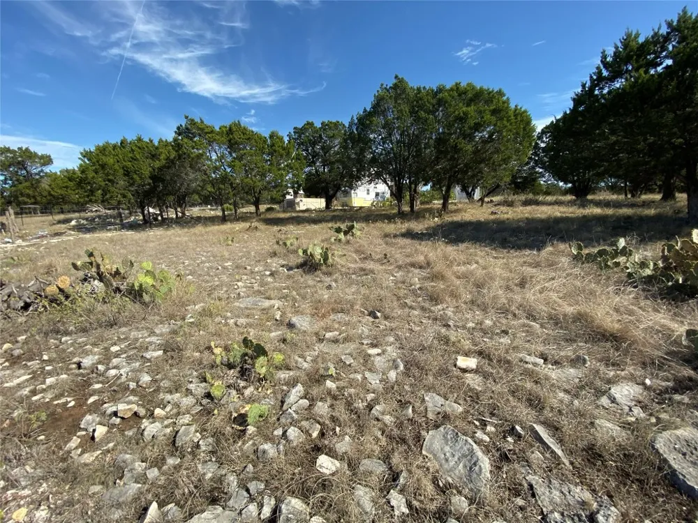 1350 Serenity Drive Fischer, TX 78623