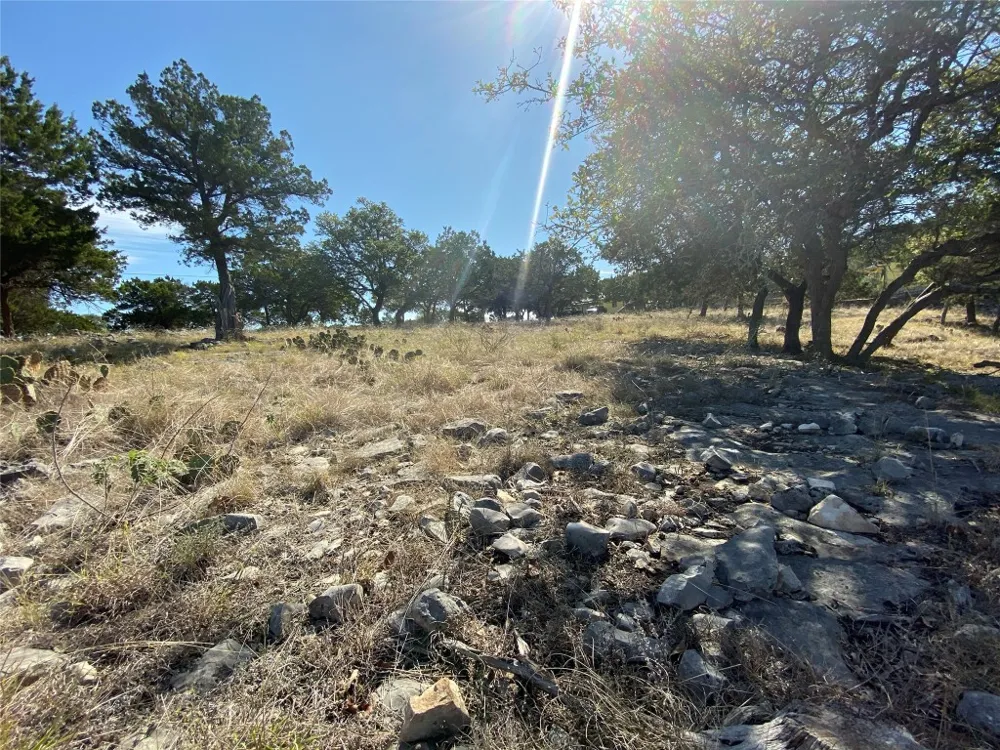 1350 Serenity Drive Fischer, TX 78623