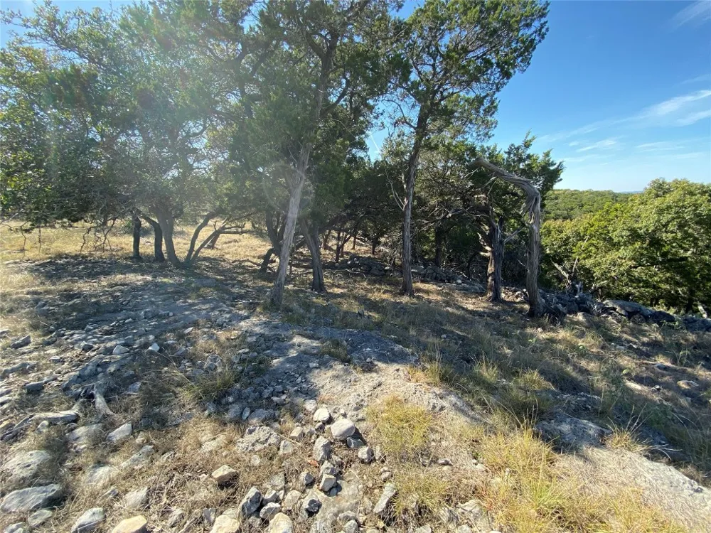1350 Serenity Drive Fischer, TX 78623
