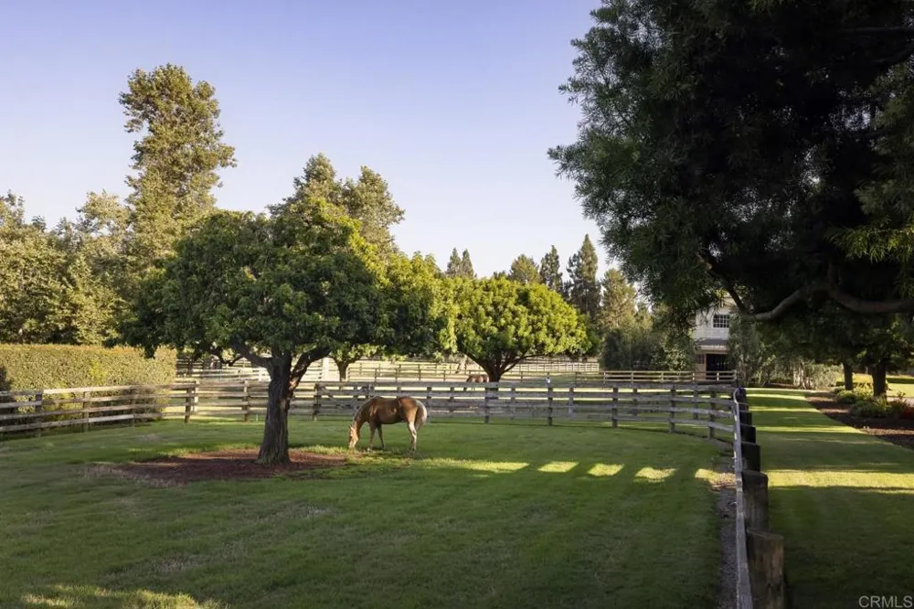 16401 Calle Feliz Rancho Santa Fe, CA 92067