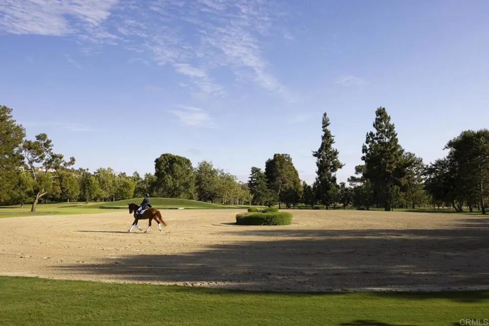 16401 Calle Feliz Rancho Santa Fe, CA 92067