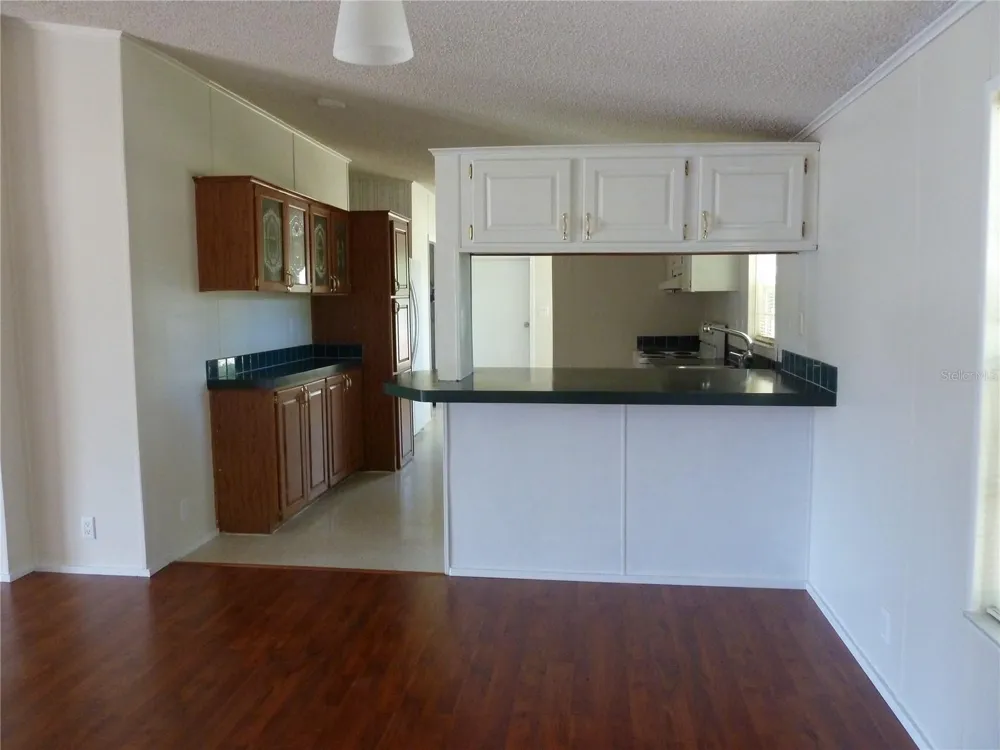 22839 BUNGALOW LANE Land O Lakes, FL 34639