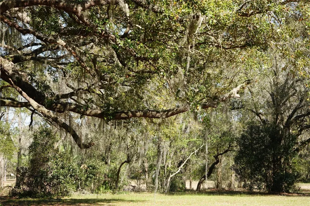 22839 BUNGALOW LANE Land O Lakes, FL 34639