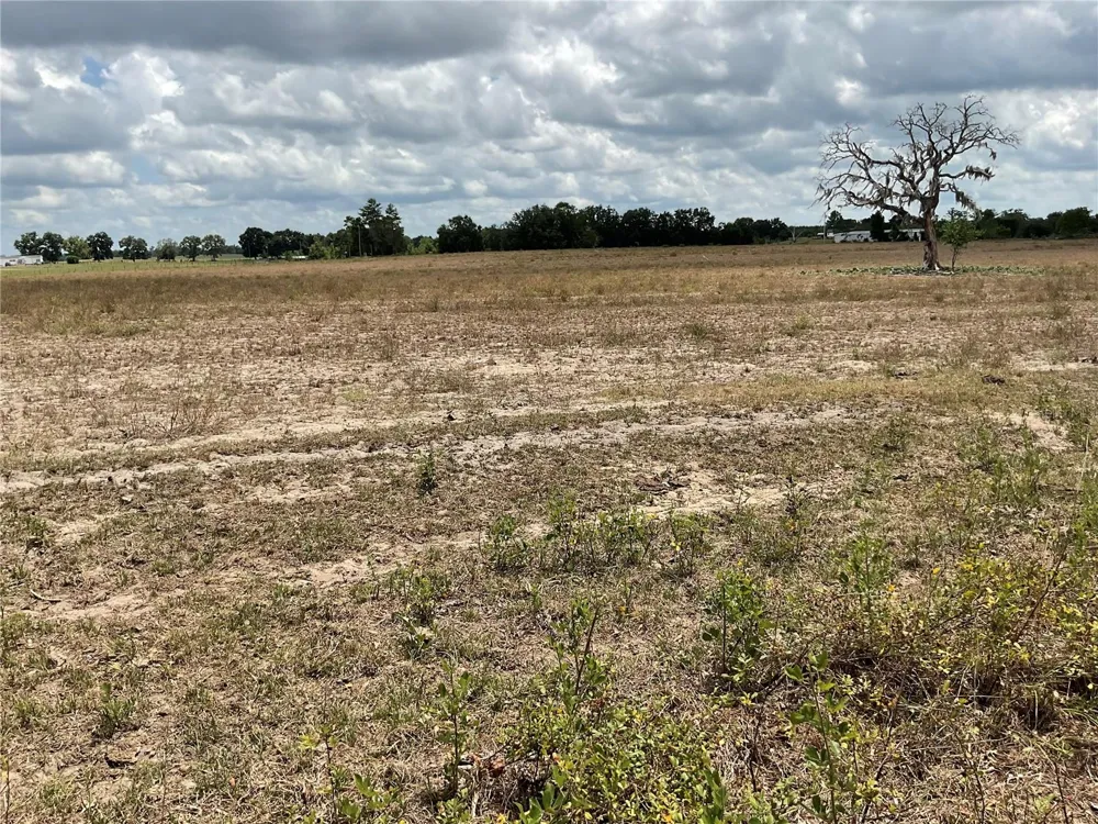 NE 46TH LANE Bronson, FL 32621