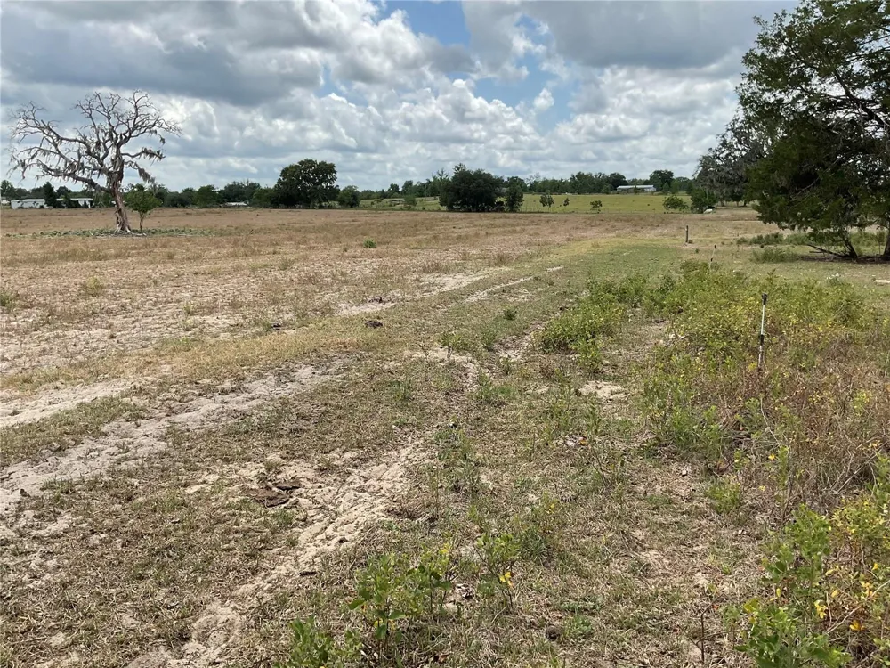 NE 46TH LANE Bronson, FL 32621