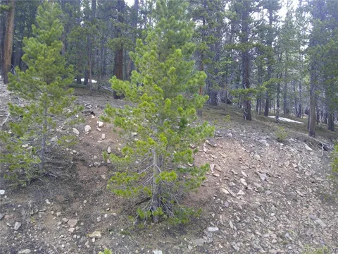 Lot 417 Glory Hole Road