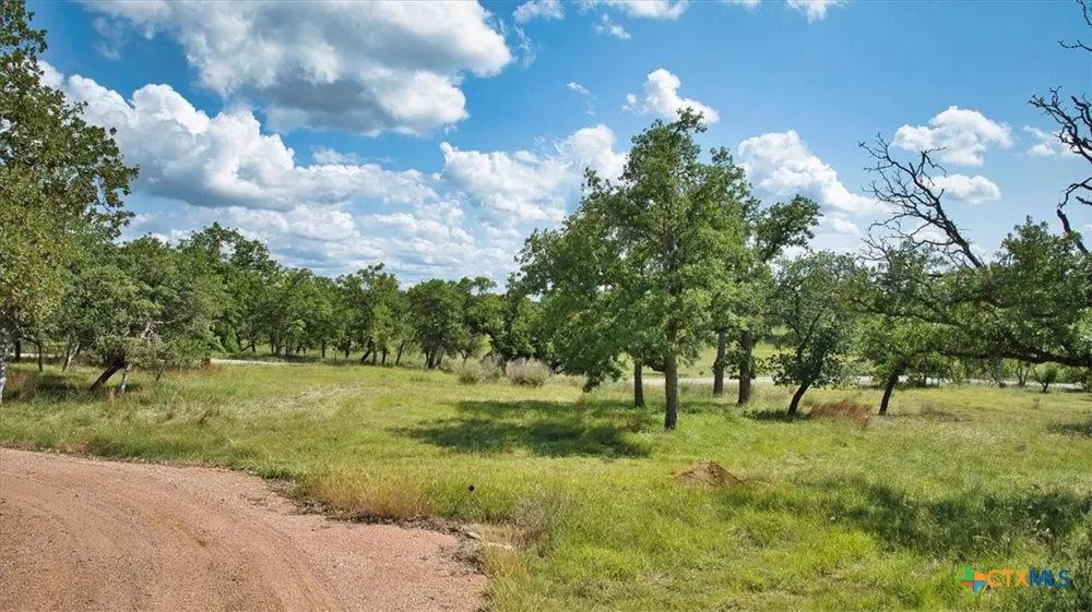 555 Summer Hill Lane Johnson City, TX 78636