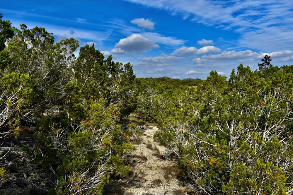 535 Canyon Rock Drive Spring Branch, TX 78070
