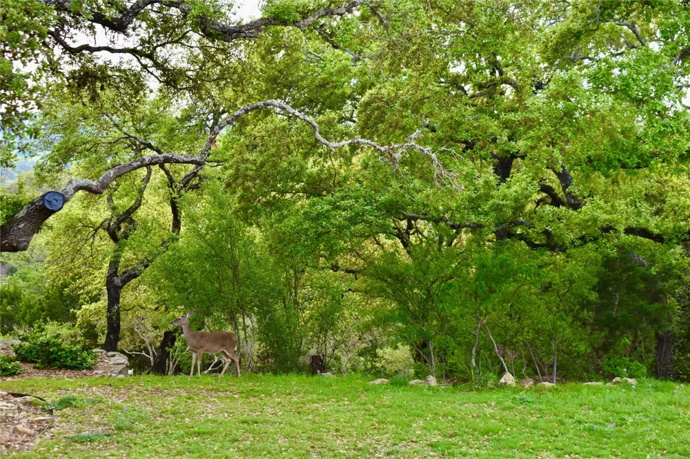 535 Canyon Rock Drive Spring Branch, TX 78070