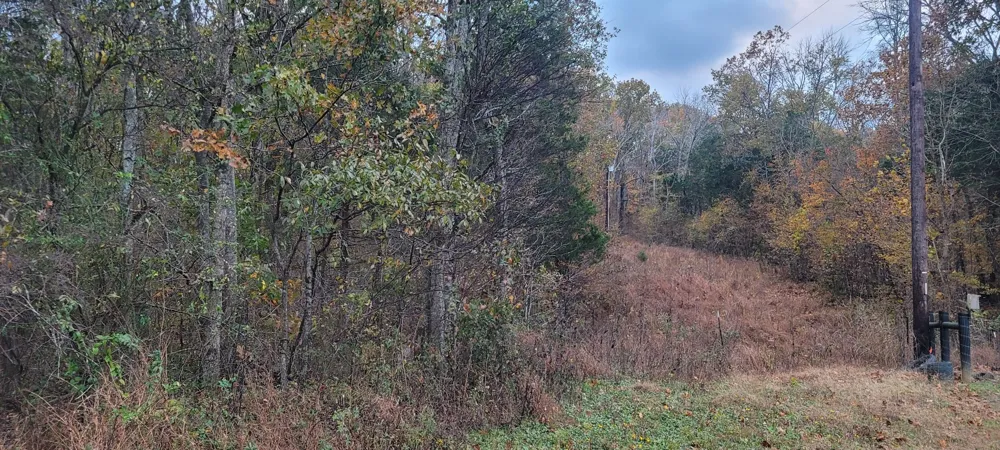 1 Flat Creek Rd Spring Hill, TN 37174