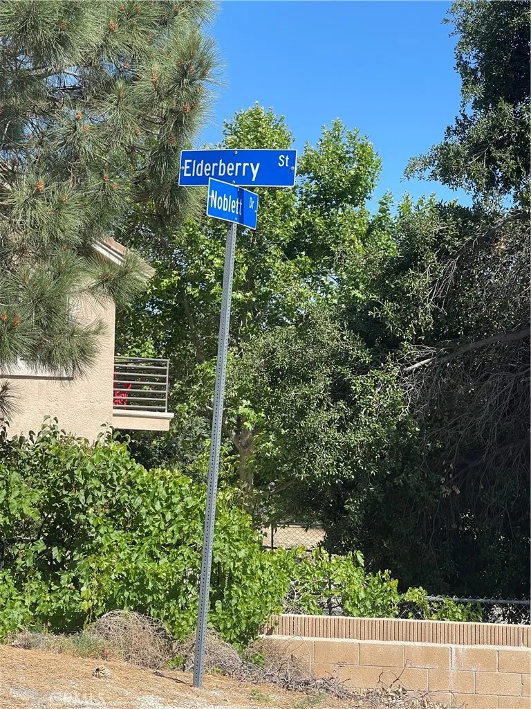 Noblett Drive  VIC Elderberr Lake Hughes, CA 93532