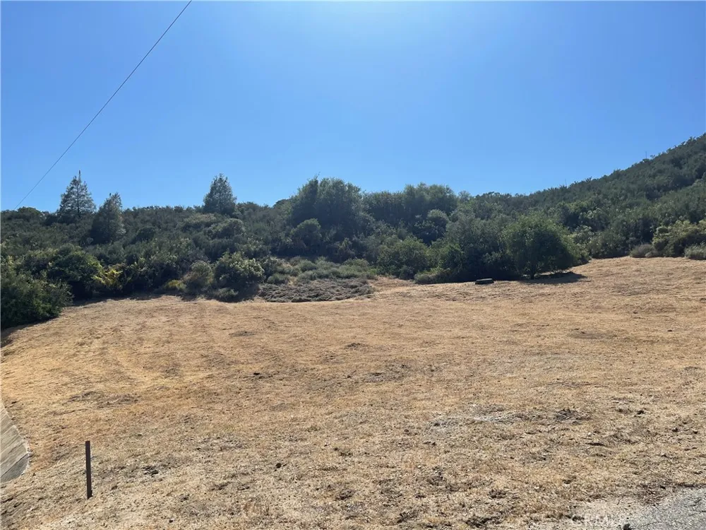 Noblett Drive  VIC Elderberr Lake Hughes, CA 93532