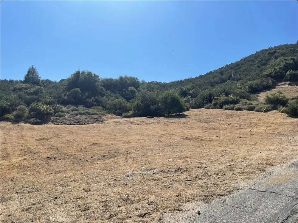 Noblett Drive  VIC Elderberr Lake Hughes, CA 93532