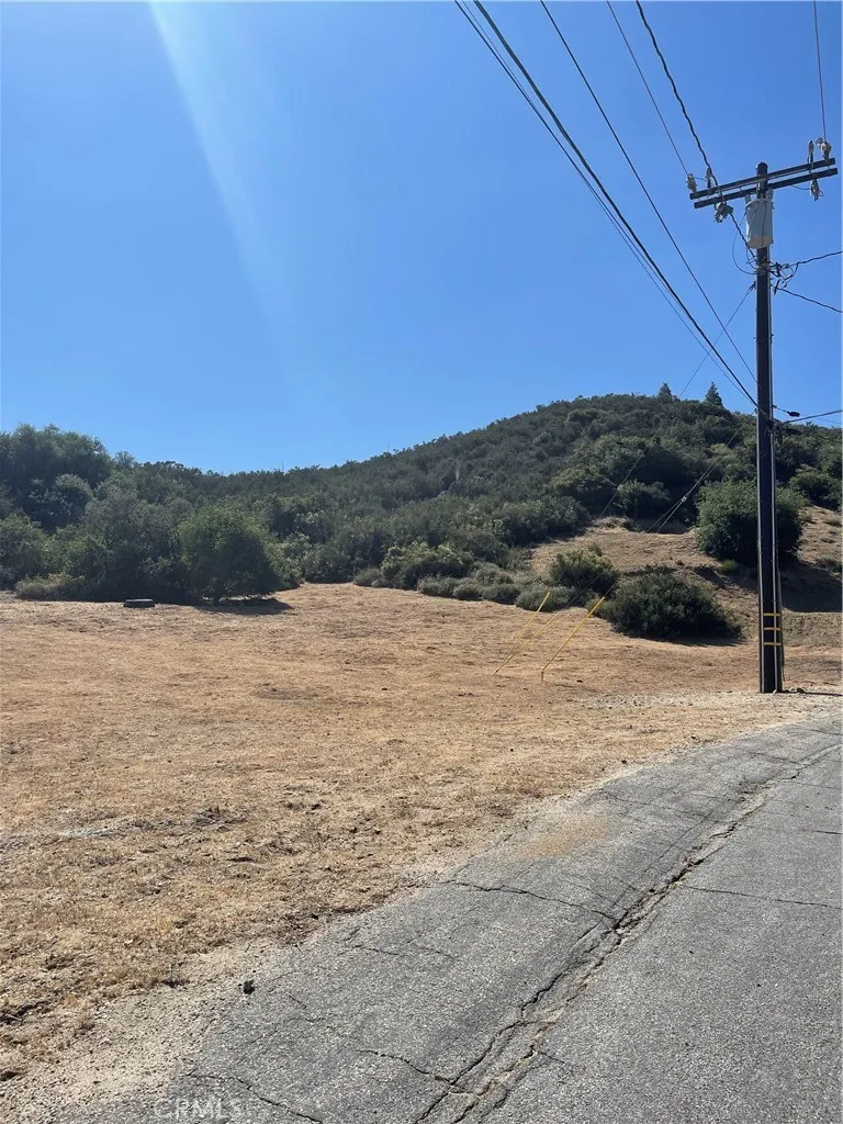 Noblett Drive  VIC Elderberr Lake Hughes, CA 93532