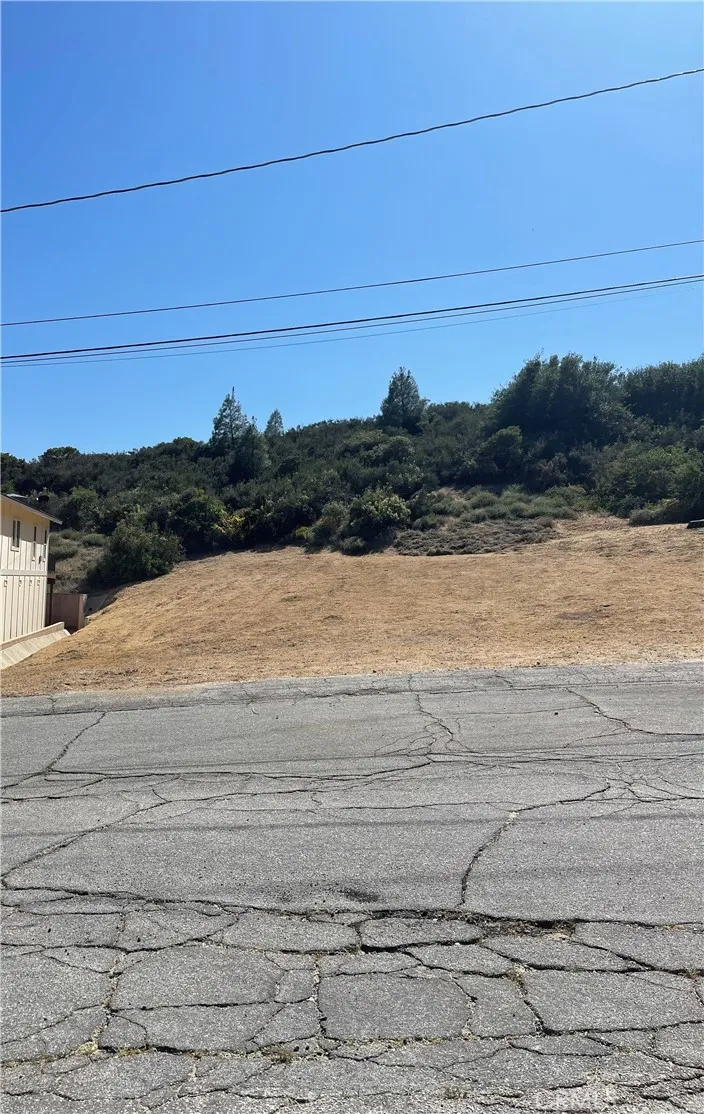 Noblett Drive  VIC Elderberr Lake Hughes, CA 93532