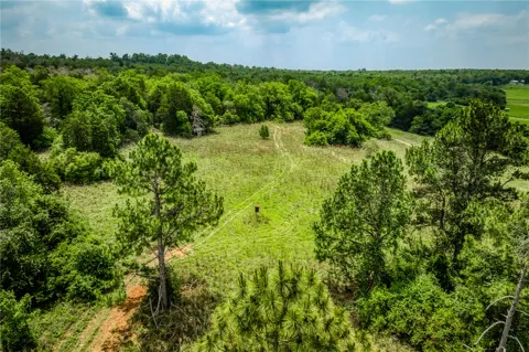 2330 County Road 329