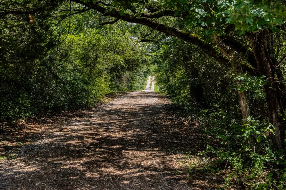 2330 County Road 329 Milano, TX 76556