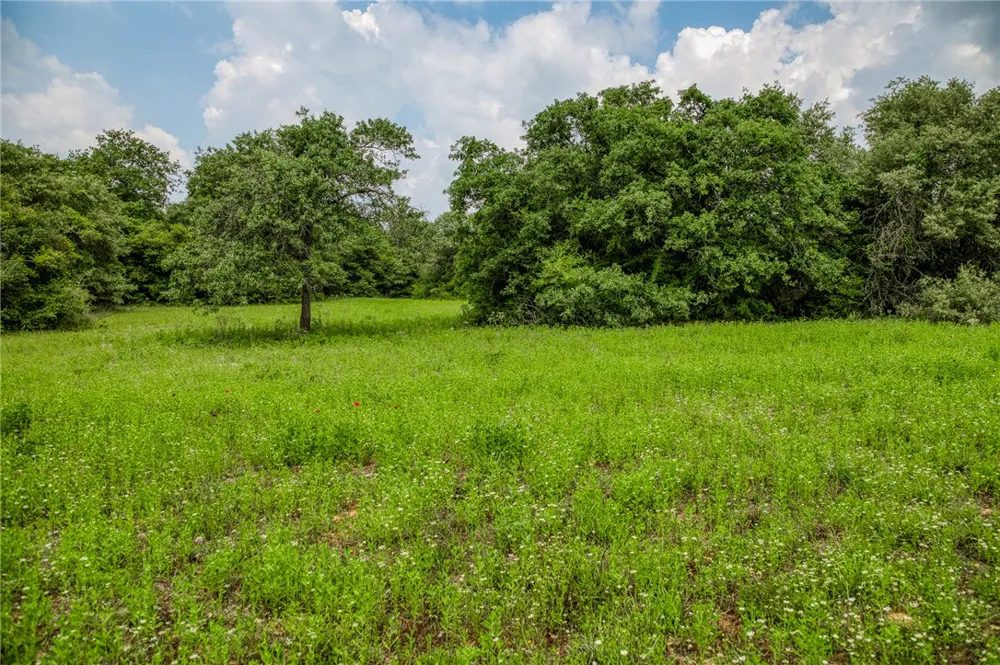 2330 County Road 329 Milano, TX 76556