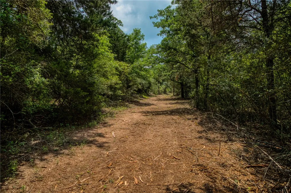 2330 County Road 329 Milano, TX 76556