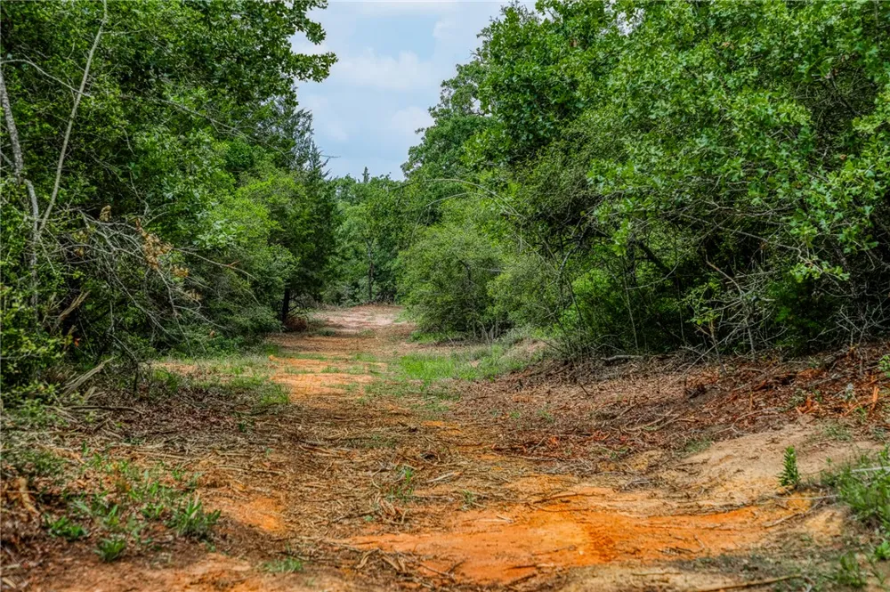 2330 County Road 329 Milano, TX 76556