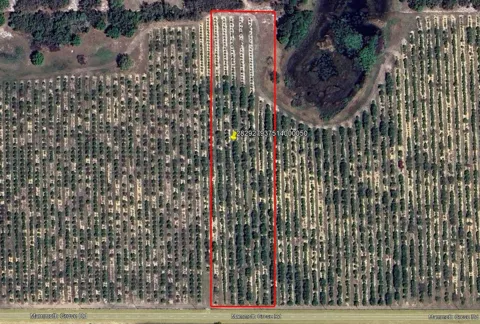 MAMMOTH GROVE ROAD