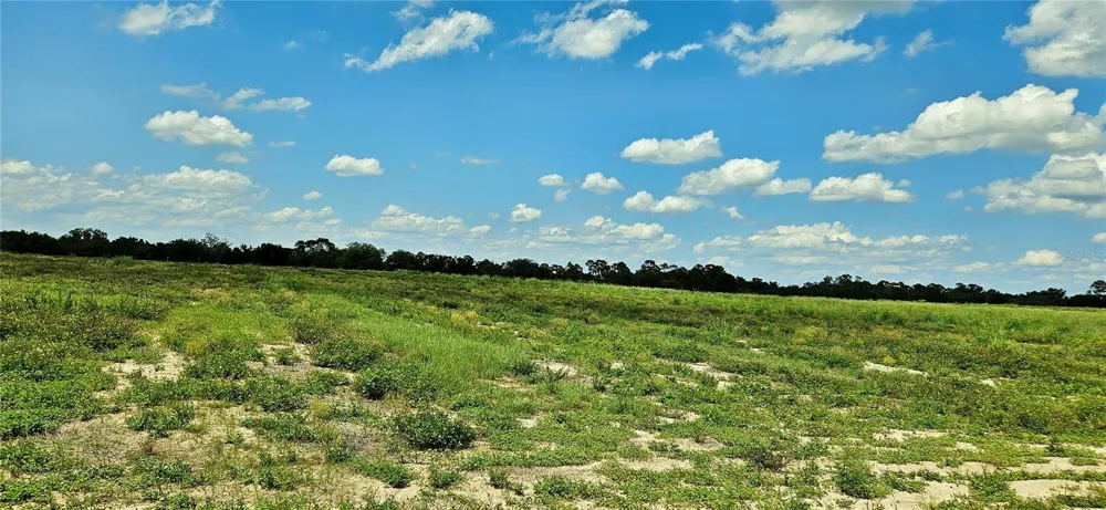 MAMMOTH GROVE ROAD Lake Wales, FL 33898
