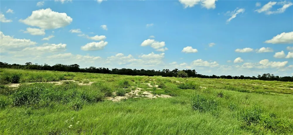 MAMMOTH GROVE ROAD Lake Wales, FL 33898