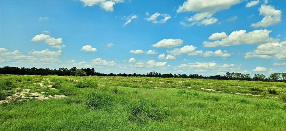 MAMMOTH GROVE ROAD Lake Wales, FL 33898