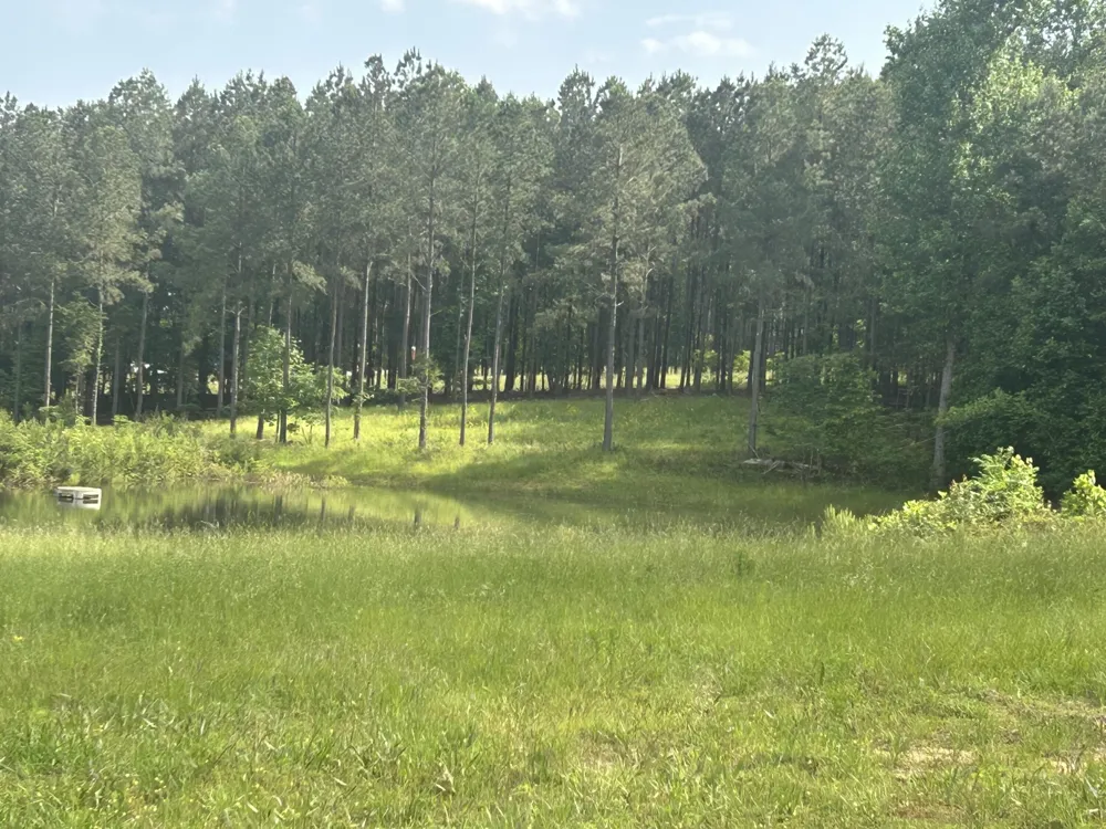 350 Crockett Loop Jasper, TN 37347