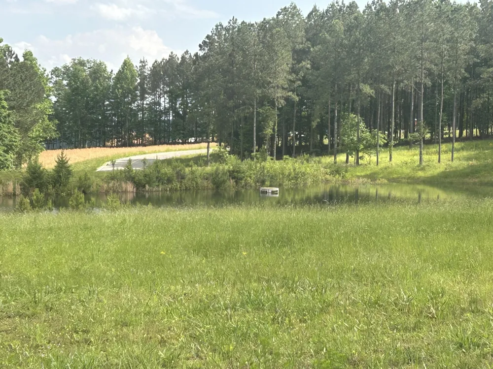 350 Crockett Loop Jasper, TN 37347