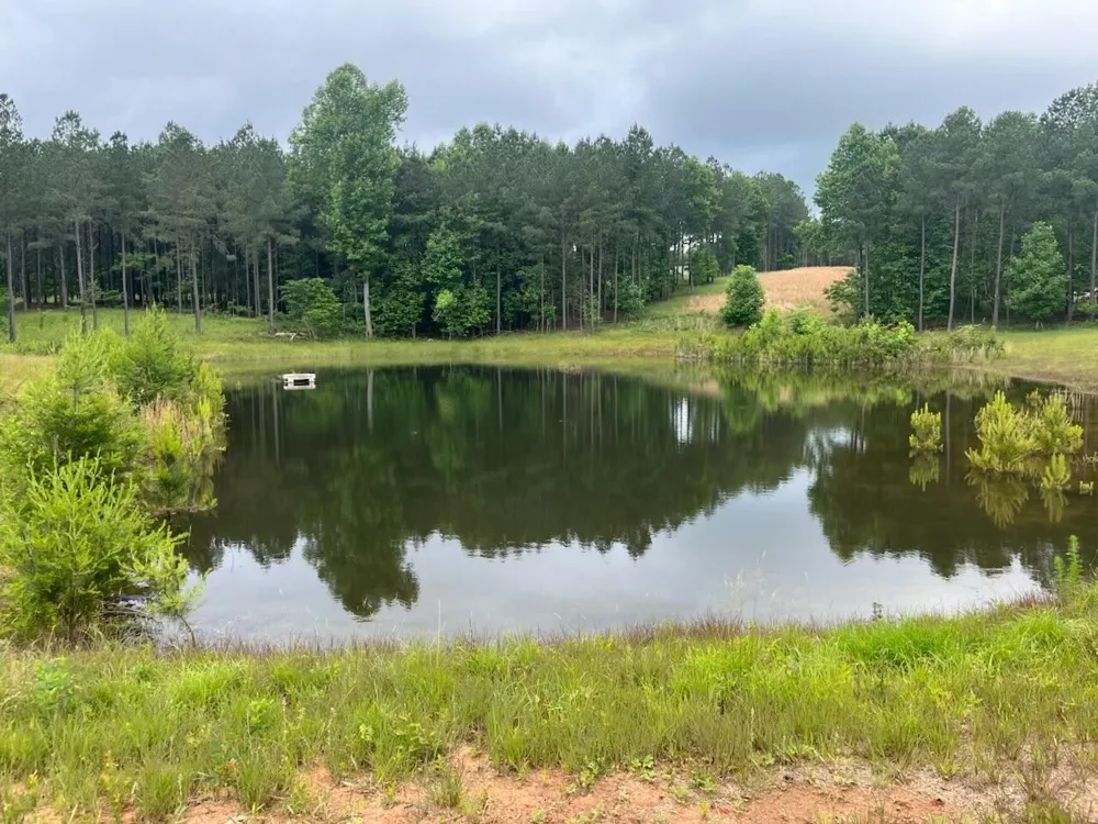 350 Crockett Loop Jasper, TN 37347