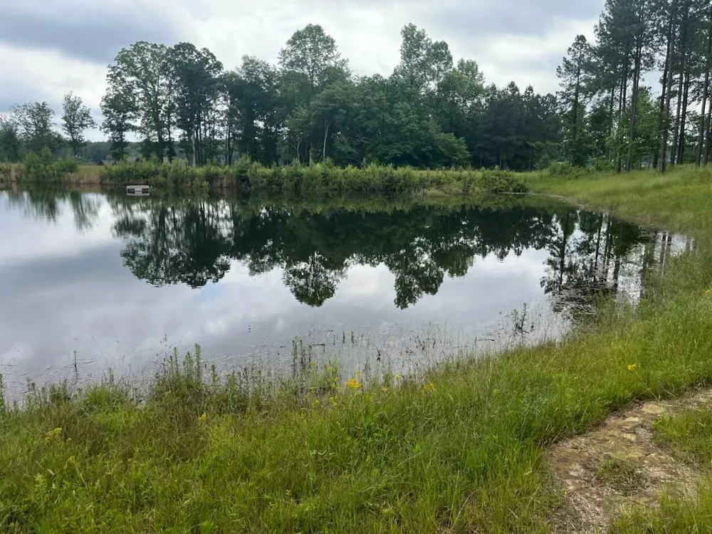 350 Crockett Loop Jasper, TN 37347