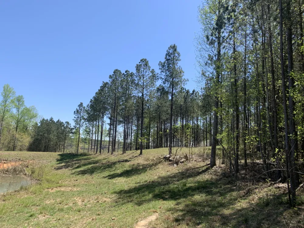 350 Crockett Loop Jasper, TN 37347