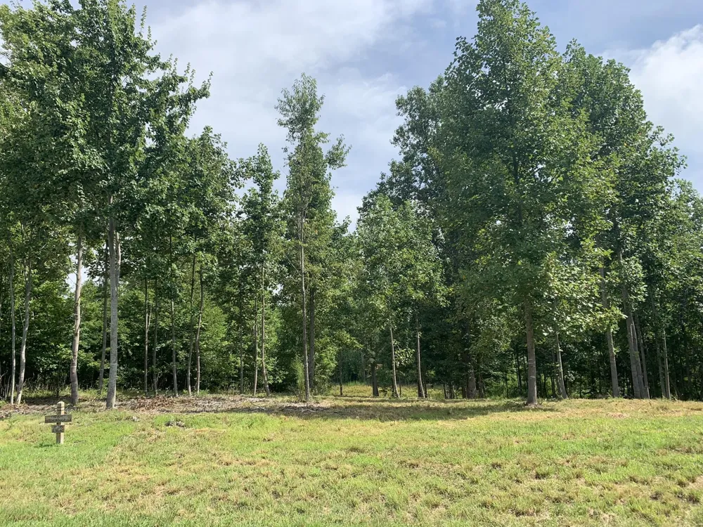 350 Crockett Loop Jasper, TN 37347