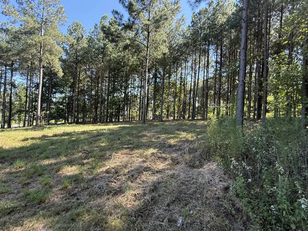 350 Crockett Loop Jasper, TN 37347