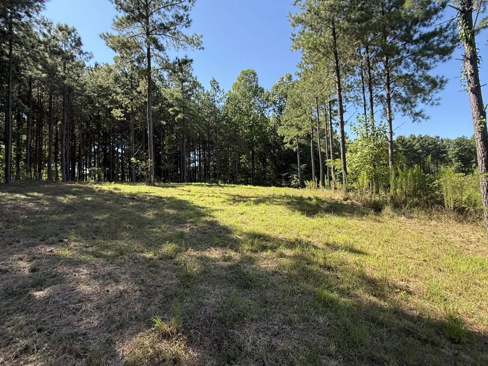 350 Crockett Loop Jasper, TN 37347