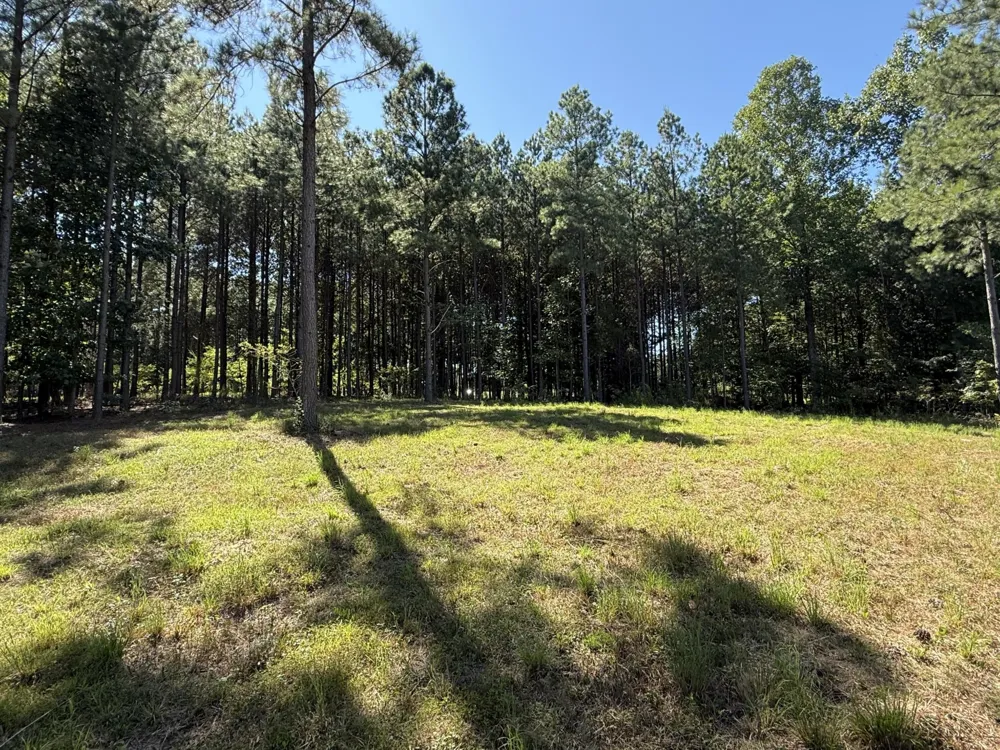 350 Crockett Loop Jasper, TN 37347