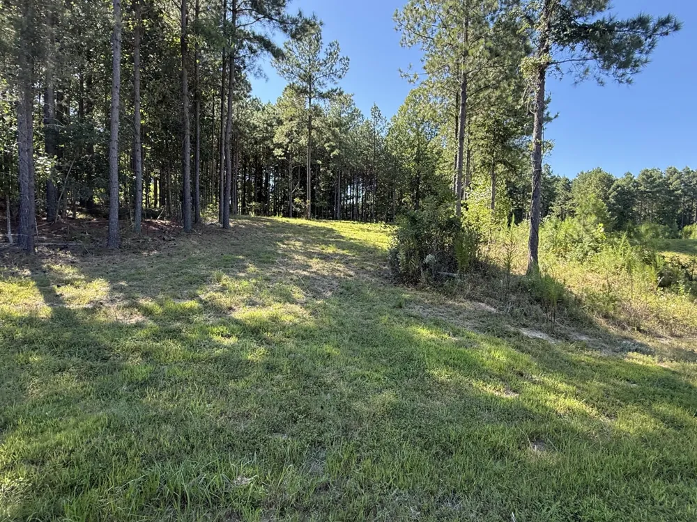 350 Crockett Loop Jasper, TN 37347