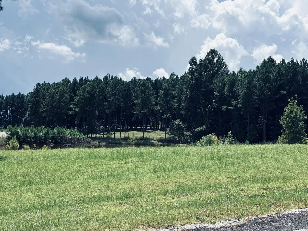 350 Crockett Loop Jasper, TN 37347