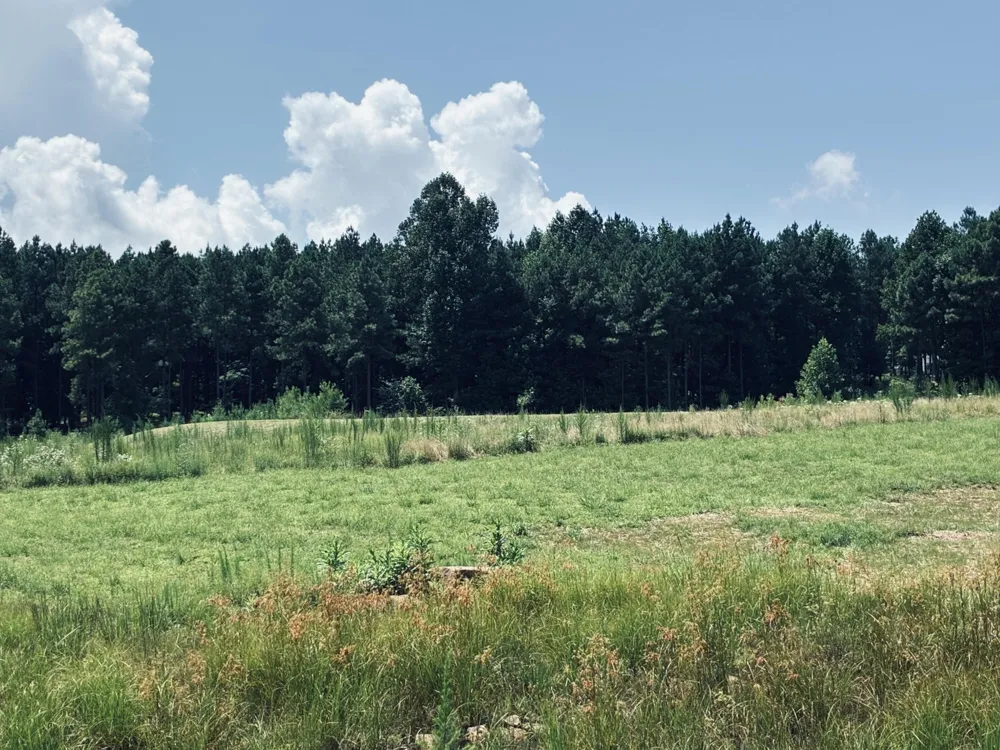 350 Crockett Loop Jasper, TN 37347